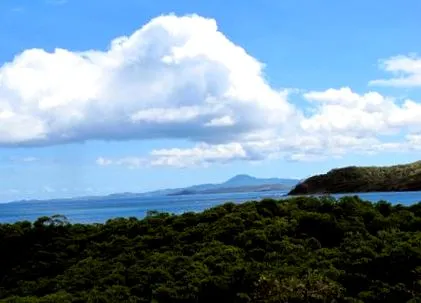 módon