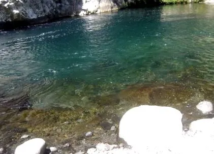 două treimi două treimi