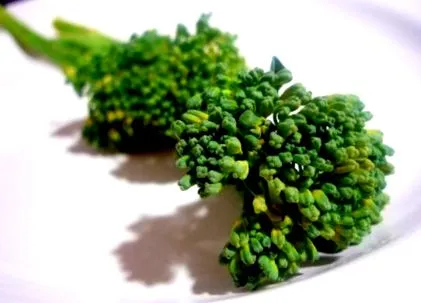 observatorul broccoli