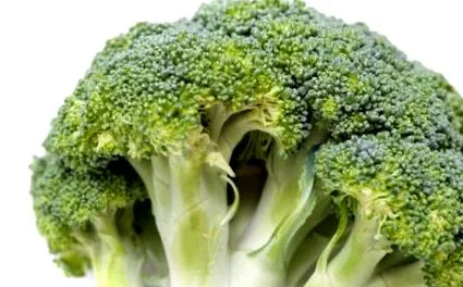 broccoli