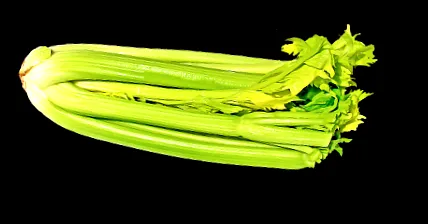 legumelor