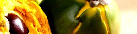 lucuma