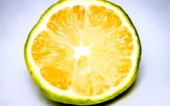 eredményei