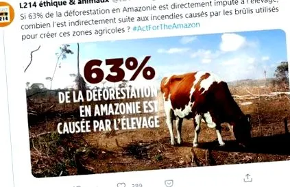 vegetarianismul amazonului