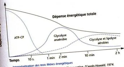 acid lactic