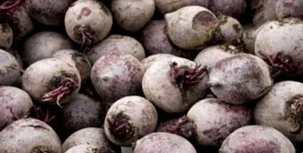 életkor előrehaladtával