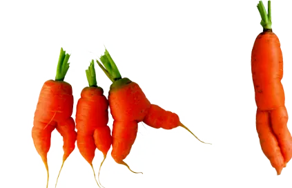 поведінки