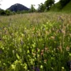 agroambientale