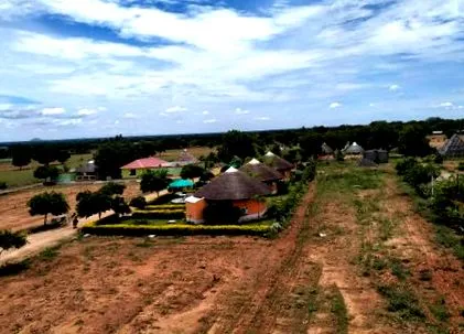 kezeléseink