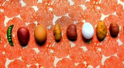motif motif