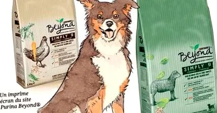purina