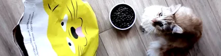 hipoallergén krokettek