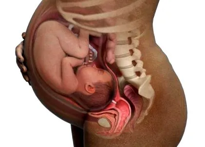 babycenter