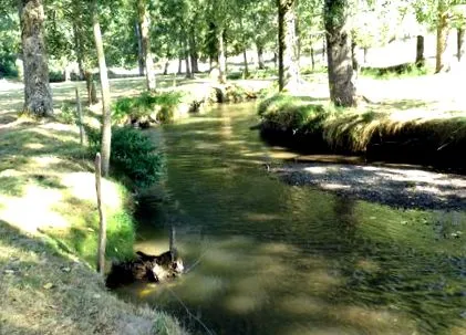 artificial sarthe