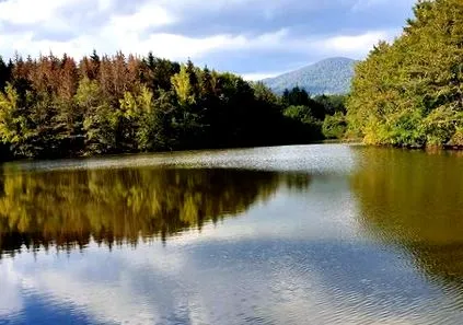 lacuri