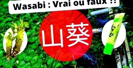 niciodată