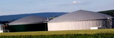 biocombustibili
