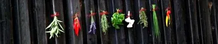 aromatice