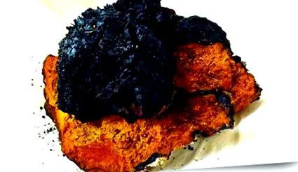 chaga