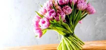 flori