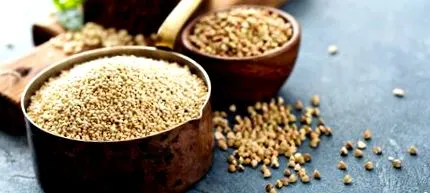 quinoa