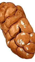 tulajdonságai