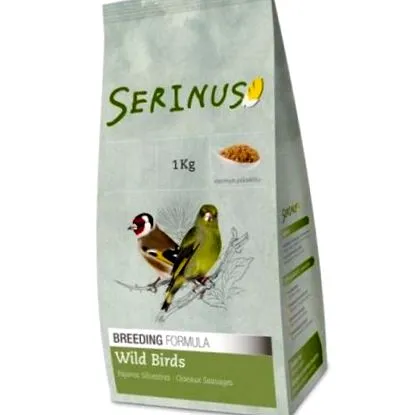 serinus