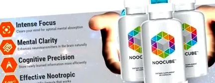 brain