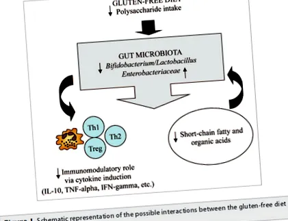 gluten