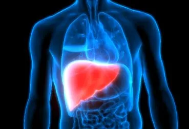 steatohepatitis neten