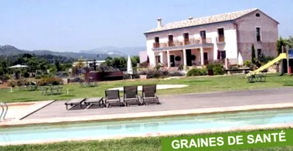 graines graines