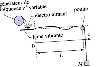 transversale