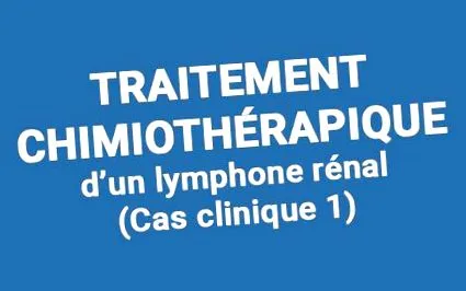 renal limfom