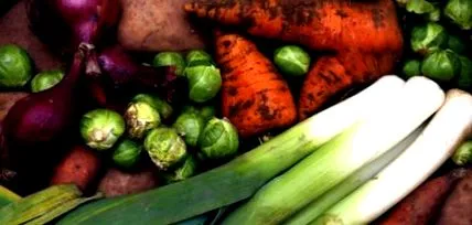 vegán