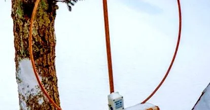 mla-30