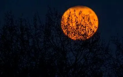 моторошних греції