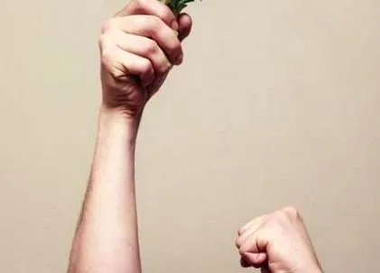 можем ядем
