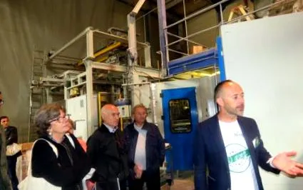 компанията папрати