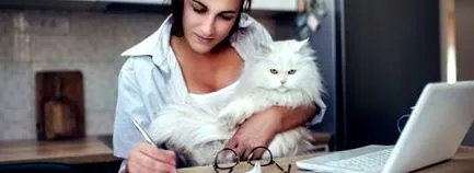 кота усиновлення