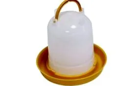 здоров