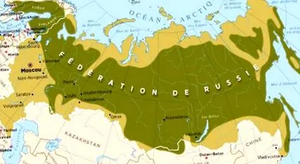російської ліси
