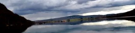 шален