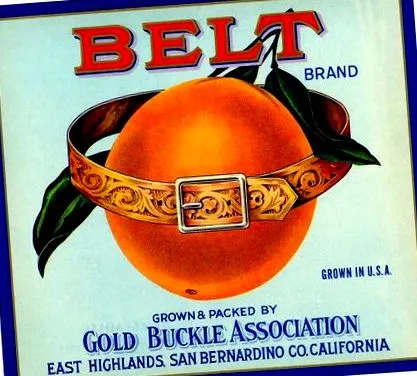 élet