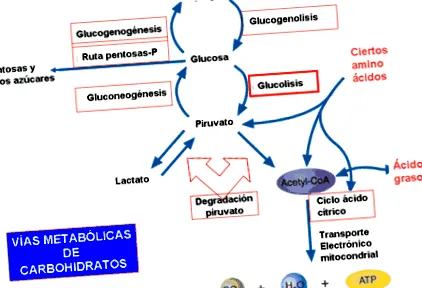 bioqu
