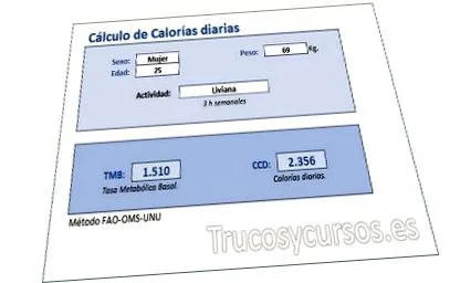 kalória