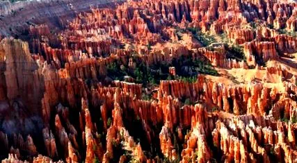 bryce