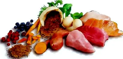 кученца
