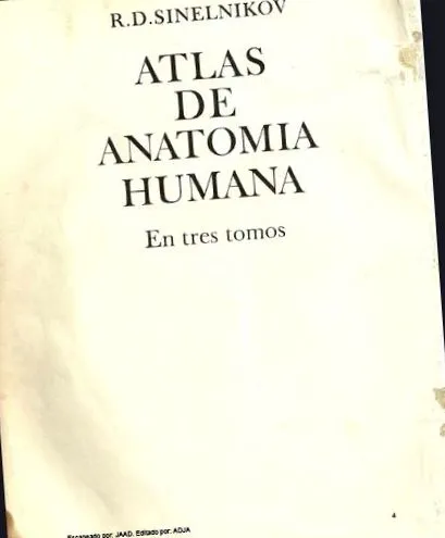 anatómia