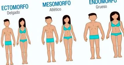 endomorph