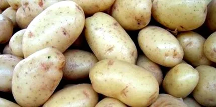 всички